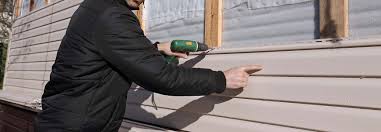 Best Siding for New Construction  in Winter Gardens, CA